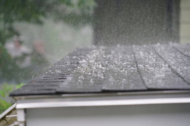 Best Metal Roofing Installation  in Viroqua, WI