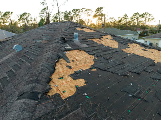 Best Roof Installation  in Viroqua, WI