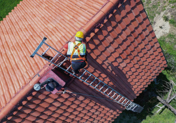 Best Roof Waterproofing  in Viroqua, WI