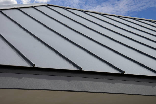 Best Flat Roofing  in Viroqua, WI