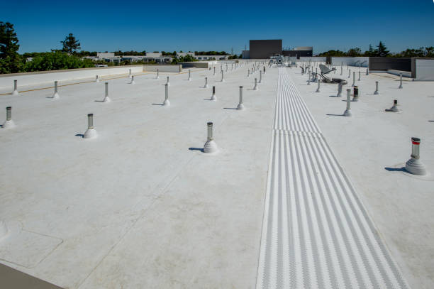 Best Steel Roofing  in Viroqua, WI